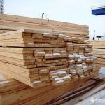 Полезные свойства древесины и их роль в строительстве